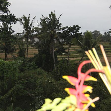 Ogek Home Stay Ubud Exterior foto